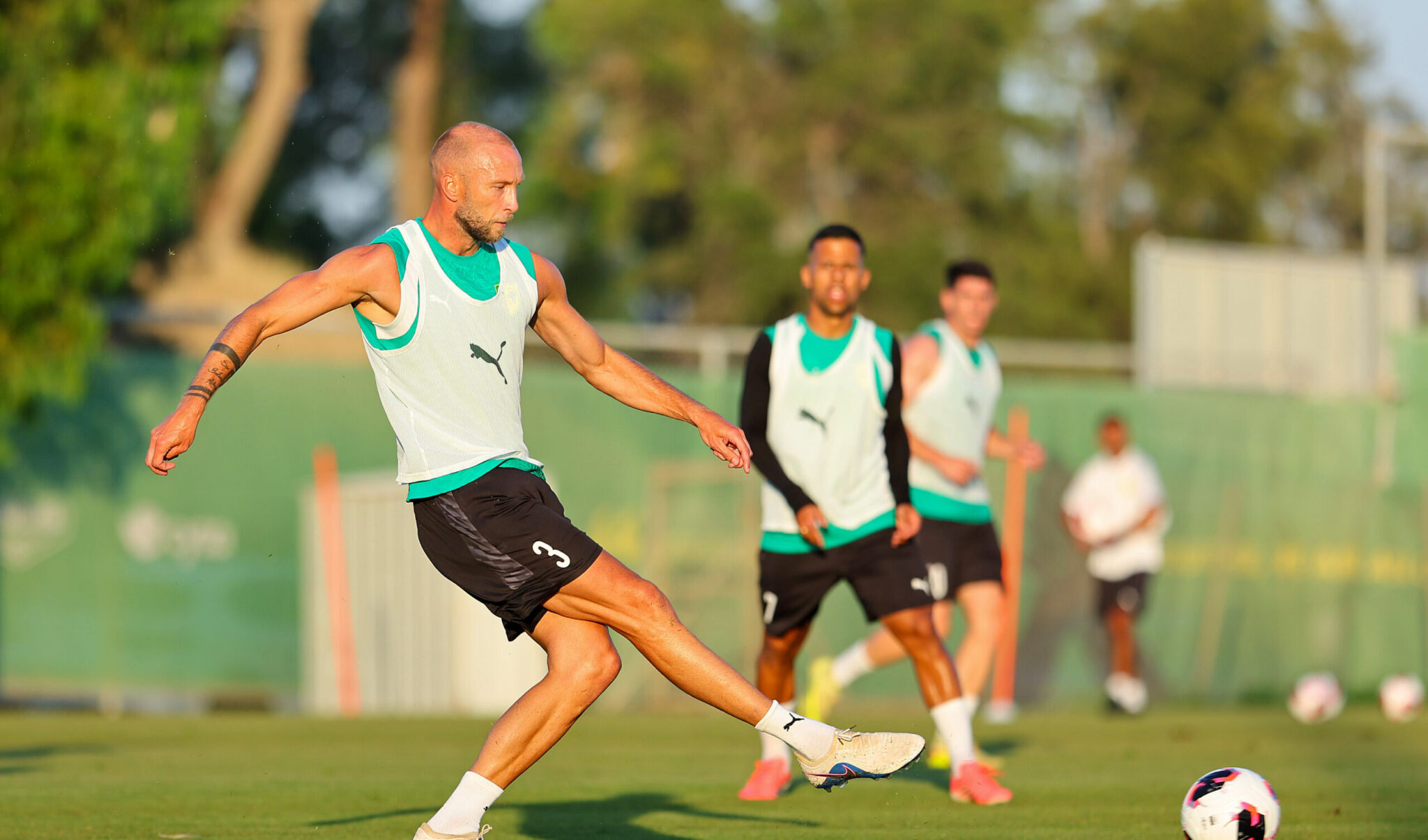 Van der Horn: A Profile of Robert's Replacement at AEK