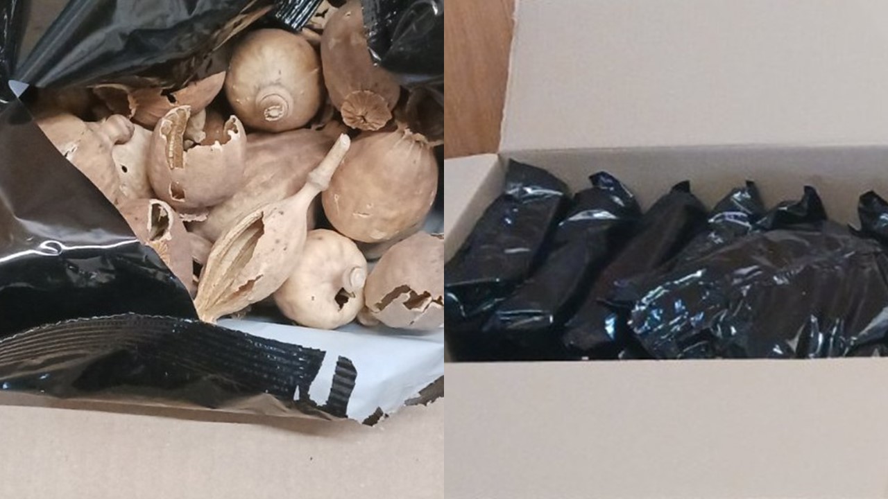 PHOTO: Another 6.5 kilograms of dried poppy bulbs were found; three people were arrested