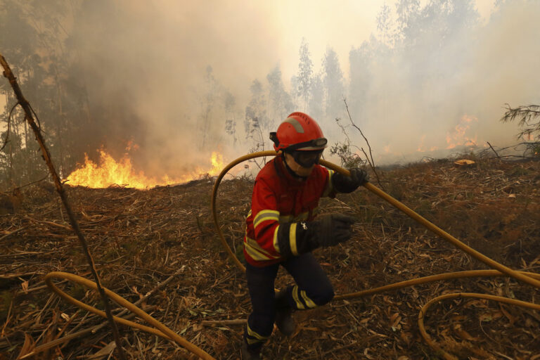 130,000 stremmata reduced to ashes in Portugal; major fire under control