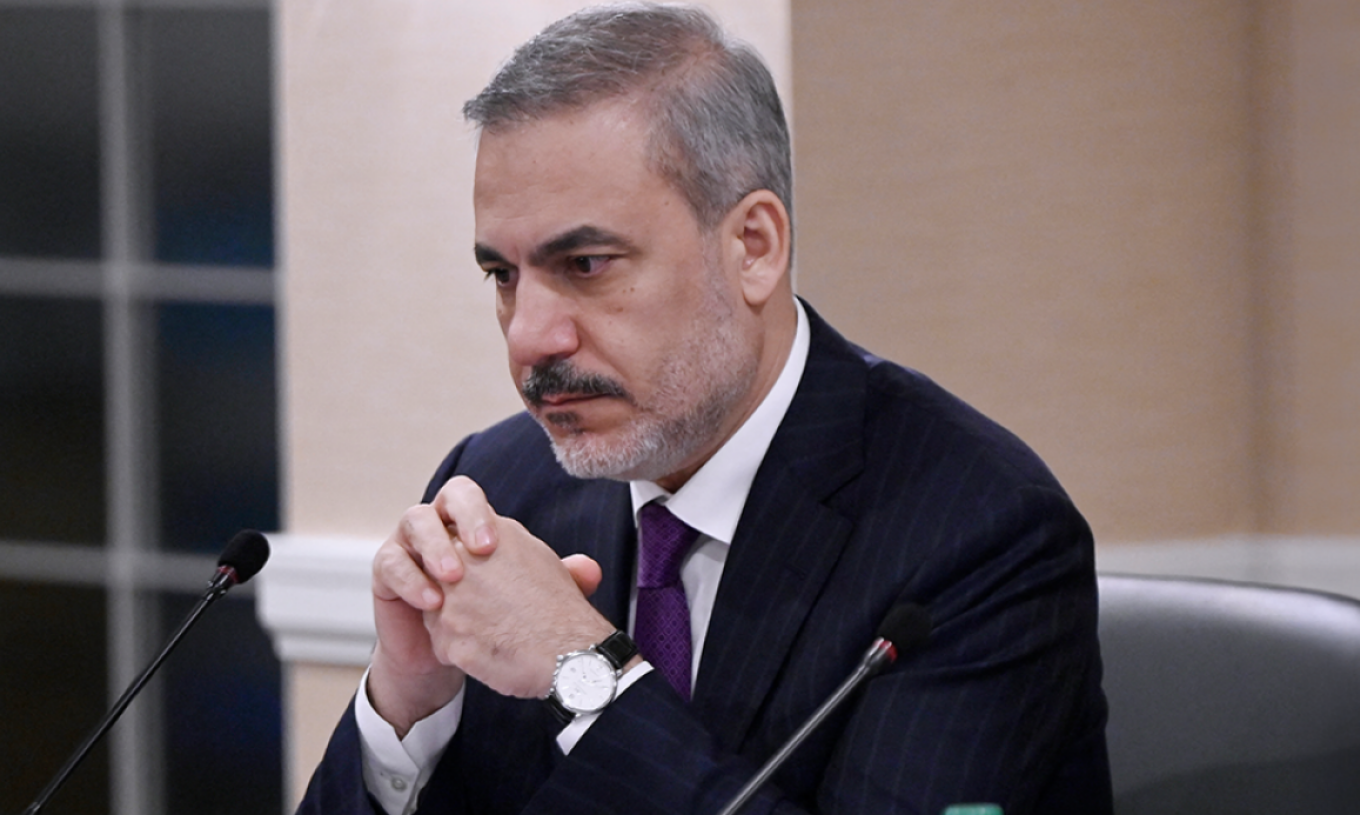 Fidan is blaming us for the upgrade of the Turkey–EU customs union