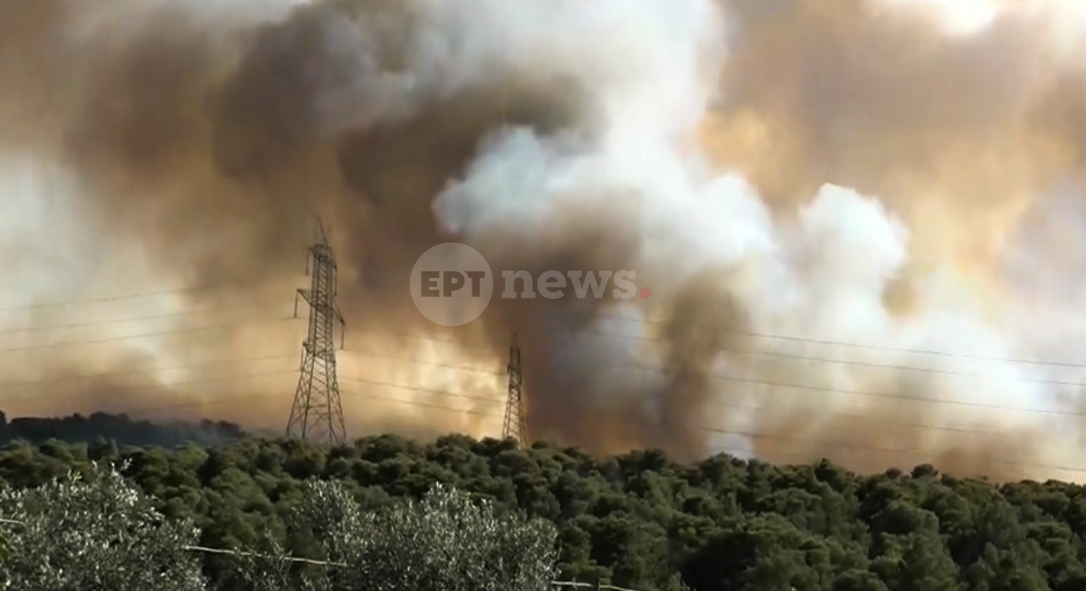 Mayor of Mandra: There are reports that the fire in Oinoi was started by a cigarette thrown from a car