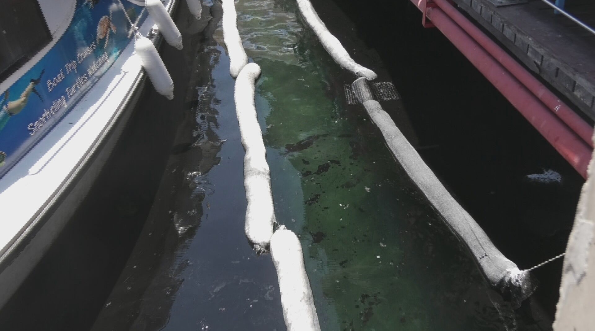 VIDEO: The sea turned black at the small port of Paphos, filled with fuel and oil