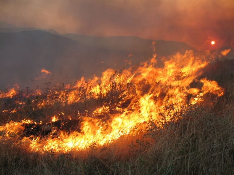 Arson and Extortion Ring in Messinia: They Set Fire to the Fields of Farmers Who Didn't Pay Them