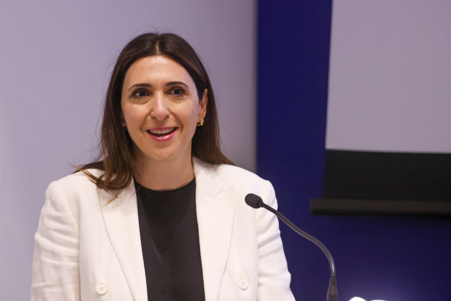 Parliament Says “No”: It Will Not Consider the Extension of Marilena Raouna’s Term as a Matter of Urgency