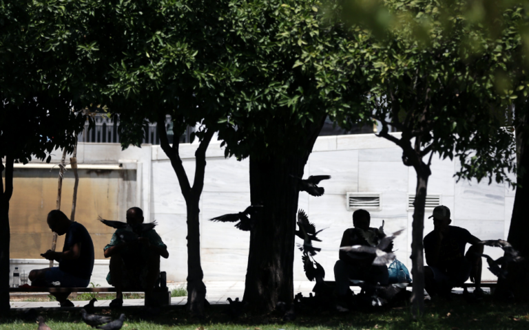These five trees can lower temperatures in cities by 2°C