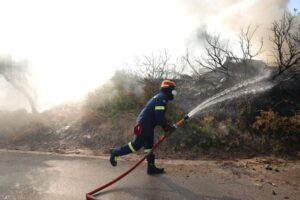 Fire in Elliniko, Salamina; Firefighting resources have been reinforced