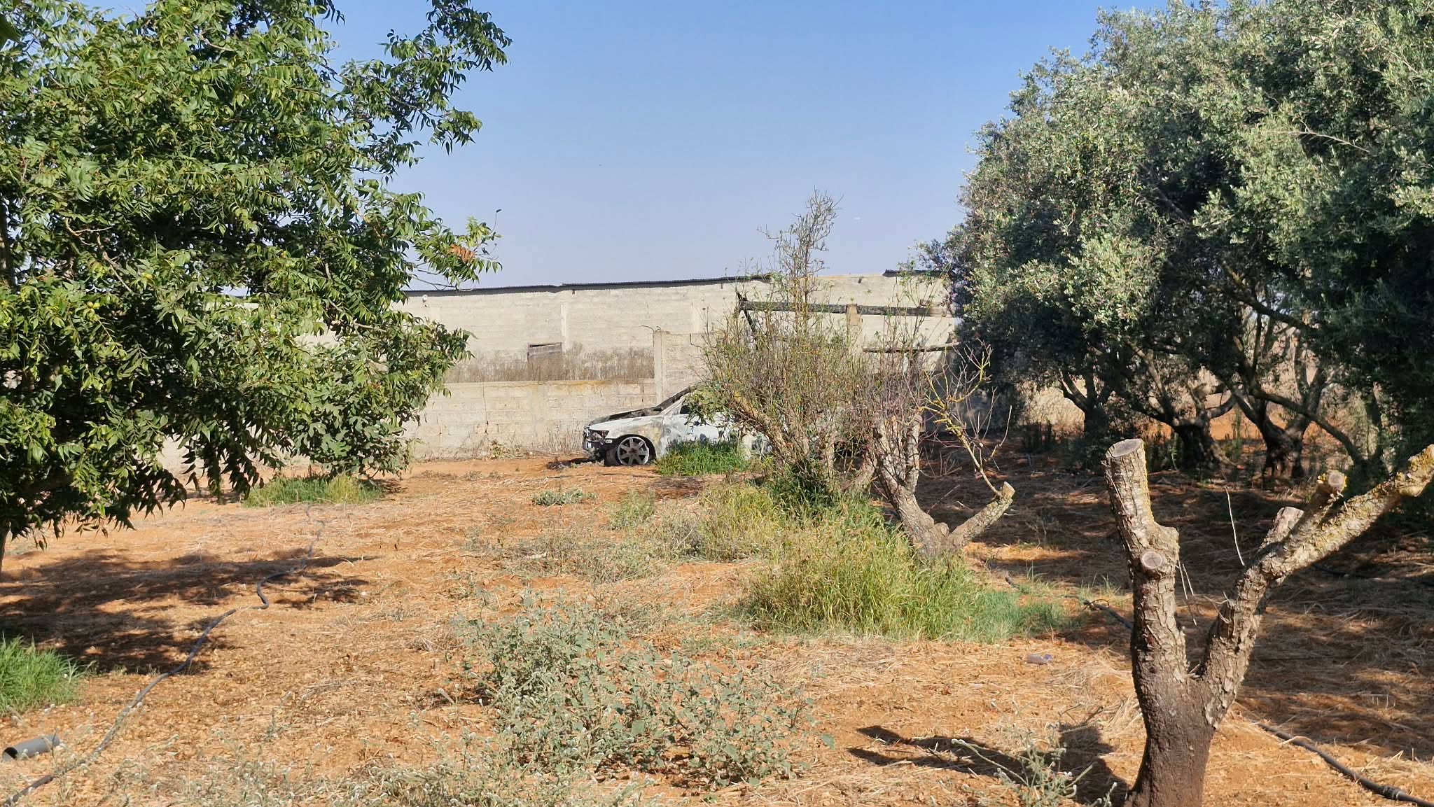 Attempted Murder in Ayia Napa: The Perpetrators’ Plan and the “Unknown” 33-Year-Old