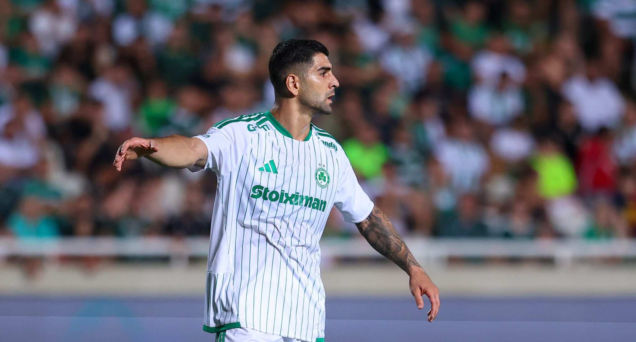 A new "suitor" from Greece for Kousoulos