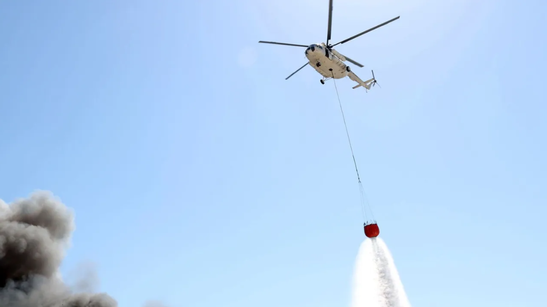 A forest fire is raging in Stefani, Boeotia: Reinforcements have been sent