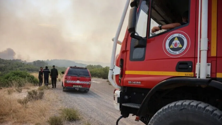 Fires in Algeria: Twelve dead and dozens injured