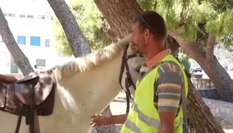 He was fined €700 for riding a horse while intoxicated on Andros