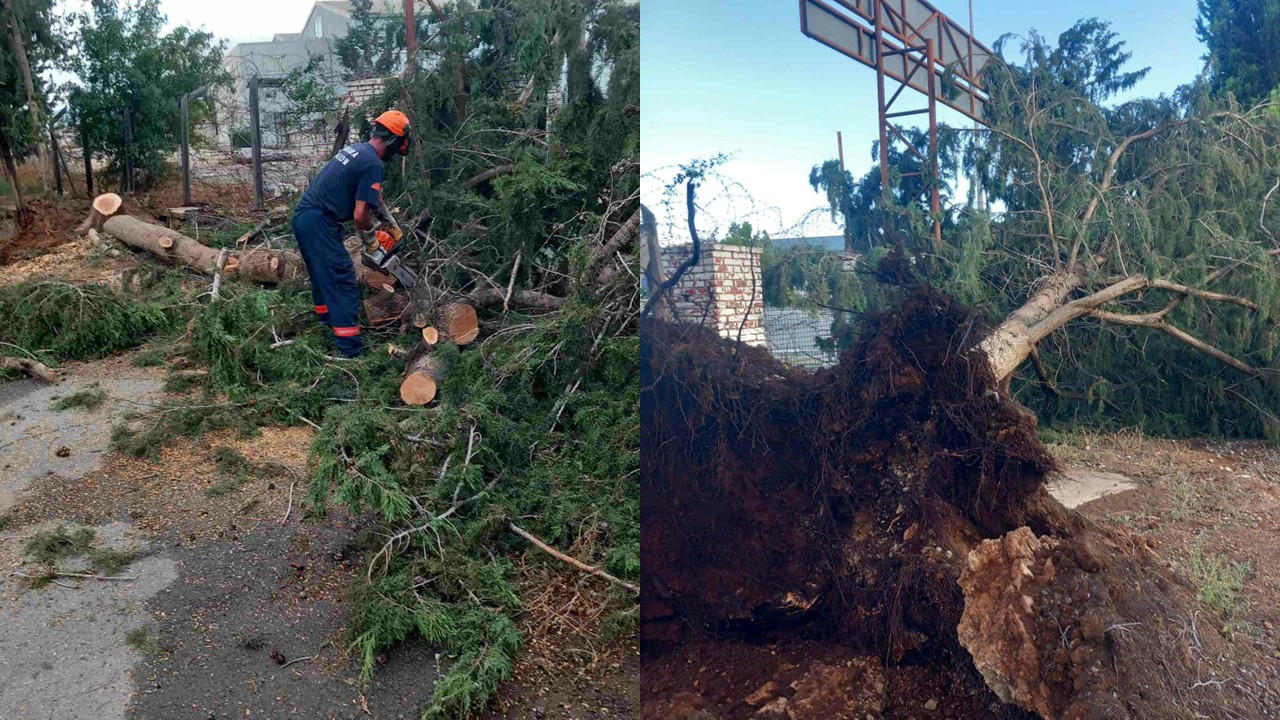 PHOTO: They’re working fast but can’t keep up with repairs caused by bad weather; dozens of fallen trees