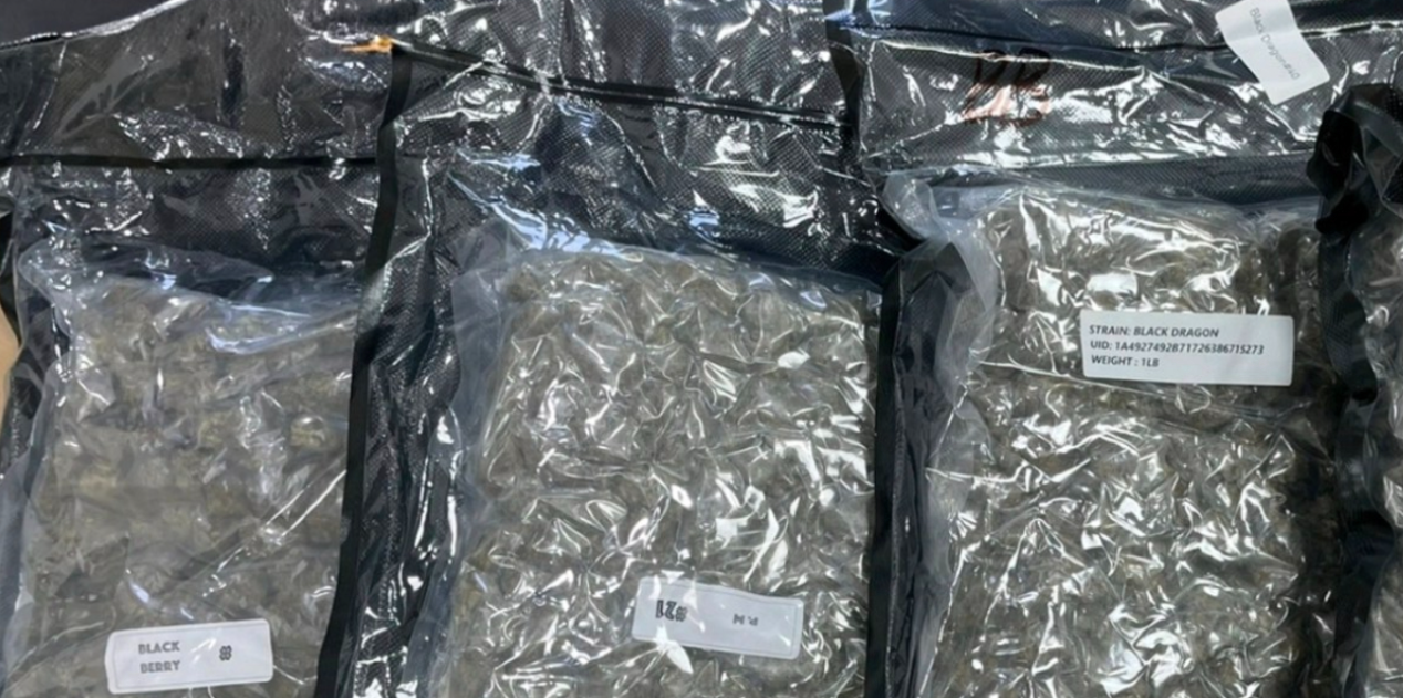 A 20-year-old man in Nicosia went to pick up a package containing cannabis and ended up in handcuffs