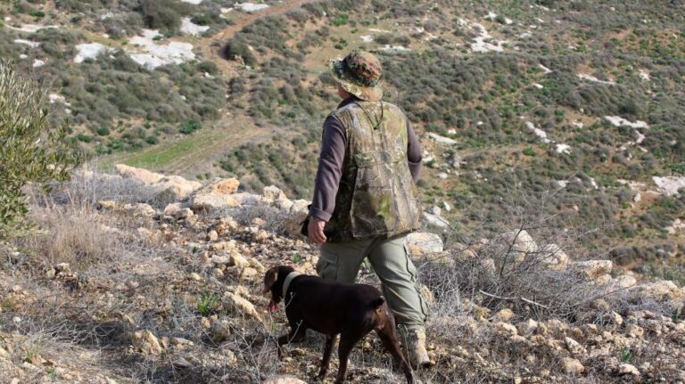 Forest Service: On high alert ahead of the start of hunting season, it is preparing a proposal to extend the season