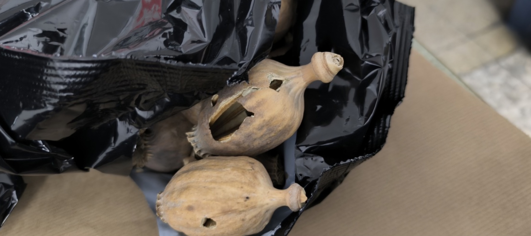 The Court of Appeals upheld the detention of a 26-year-old man for importing and possessing opium poppies