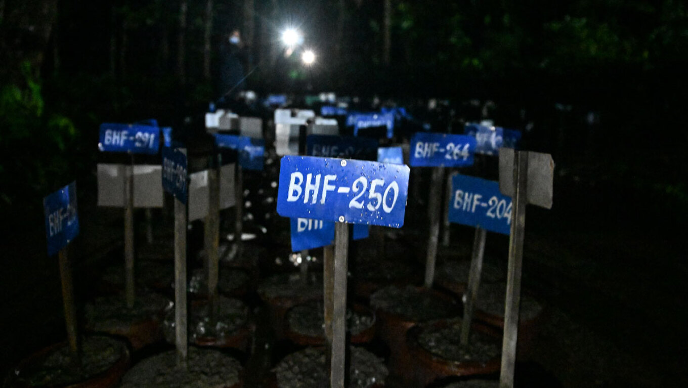 Biblical disaster in Nepal: Nearly 800 dead, mass graves marked with numbers for the unidentified victims