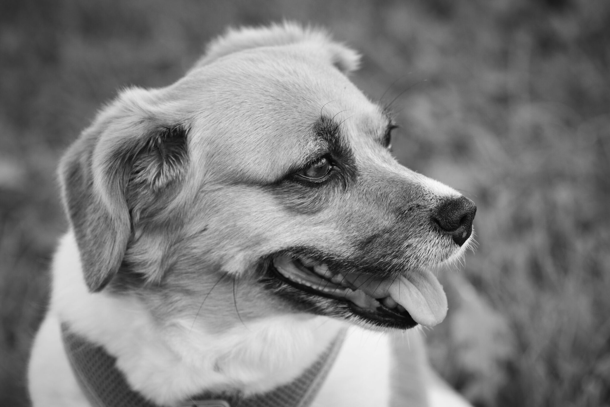 Life, After the Last Walk