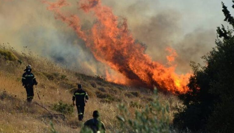 Algerian President Orders Death Penalty for Arsonists