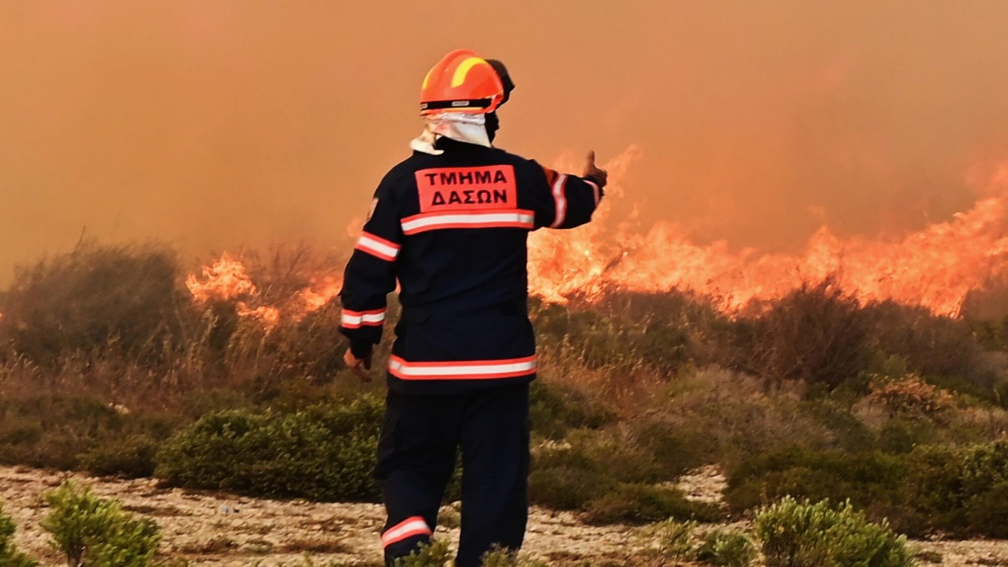 The risk of forest fires is at the “Red Alert” level