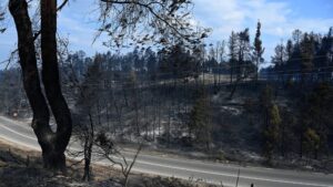 Siviri, Chalkidiki: The perimeter of the area burned by the fire is 2,480 stremmas