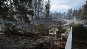 Chalkidiki: Applications for government aid have begun for businesses affected by the fire