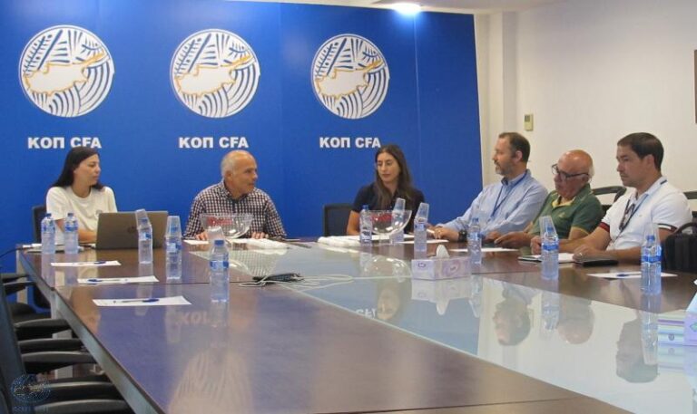 The Women’s League Schedule
