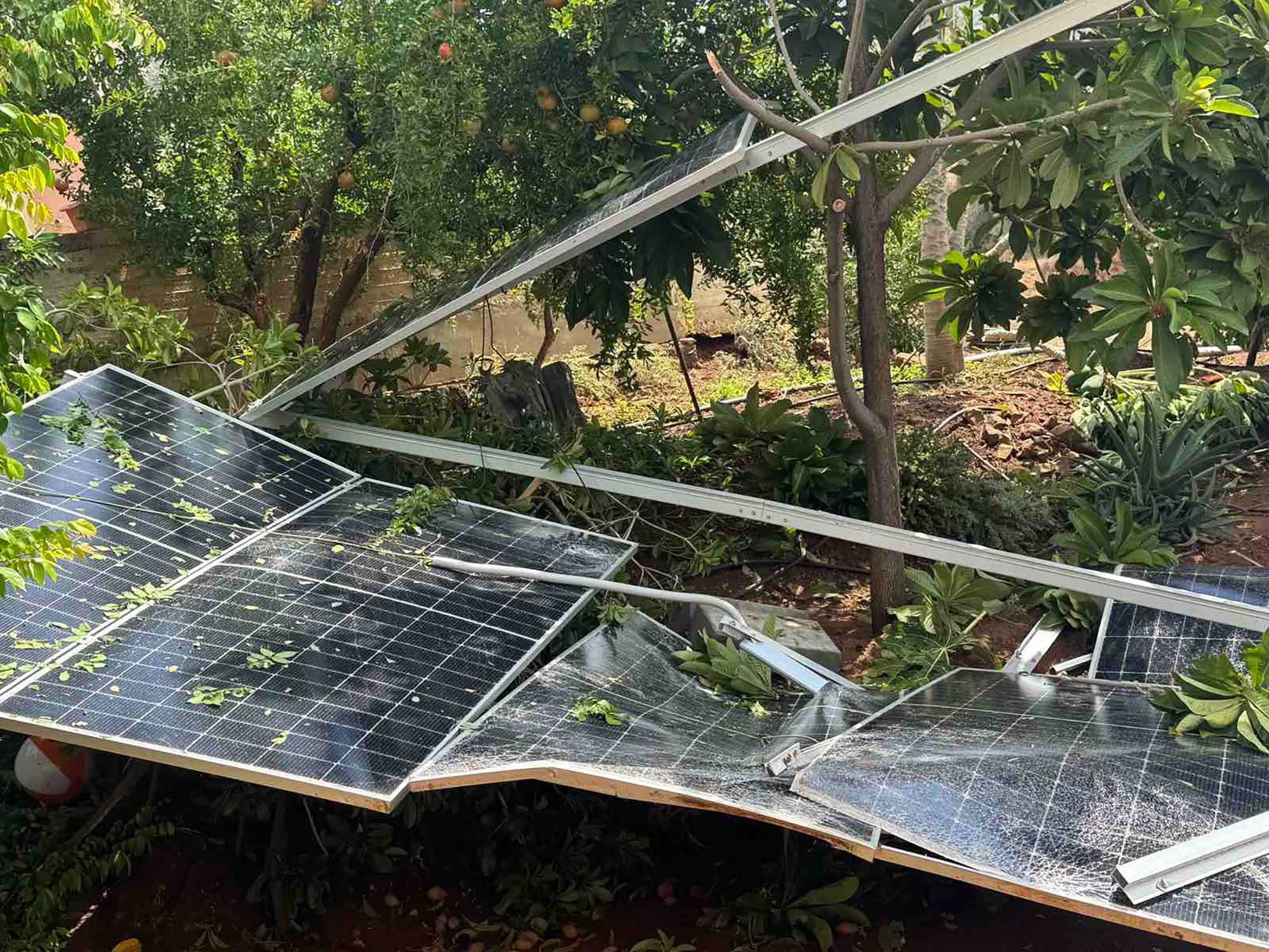 The storm in Larnaca left damage to homes and a livestock farm in its wake; assessments are ongoing