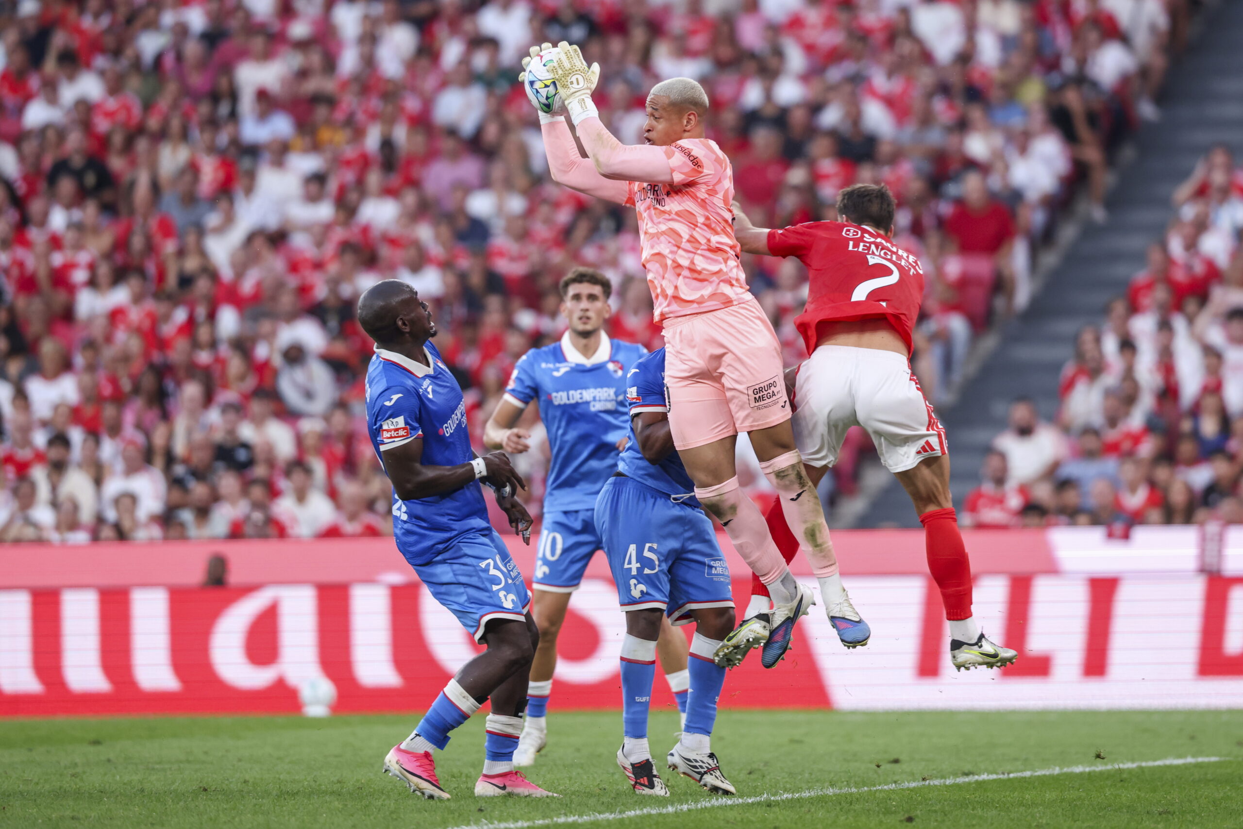 Pavlidis knocked out Gil Vicente to secure Benfica’s precious “three points”
