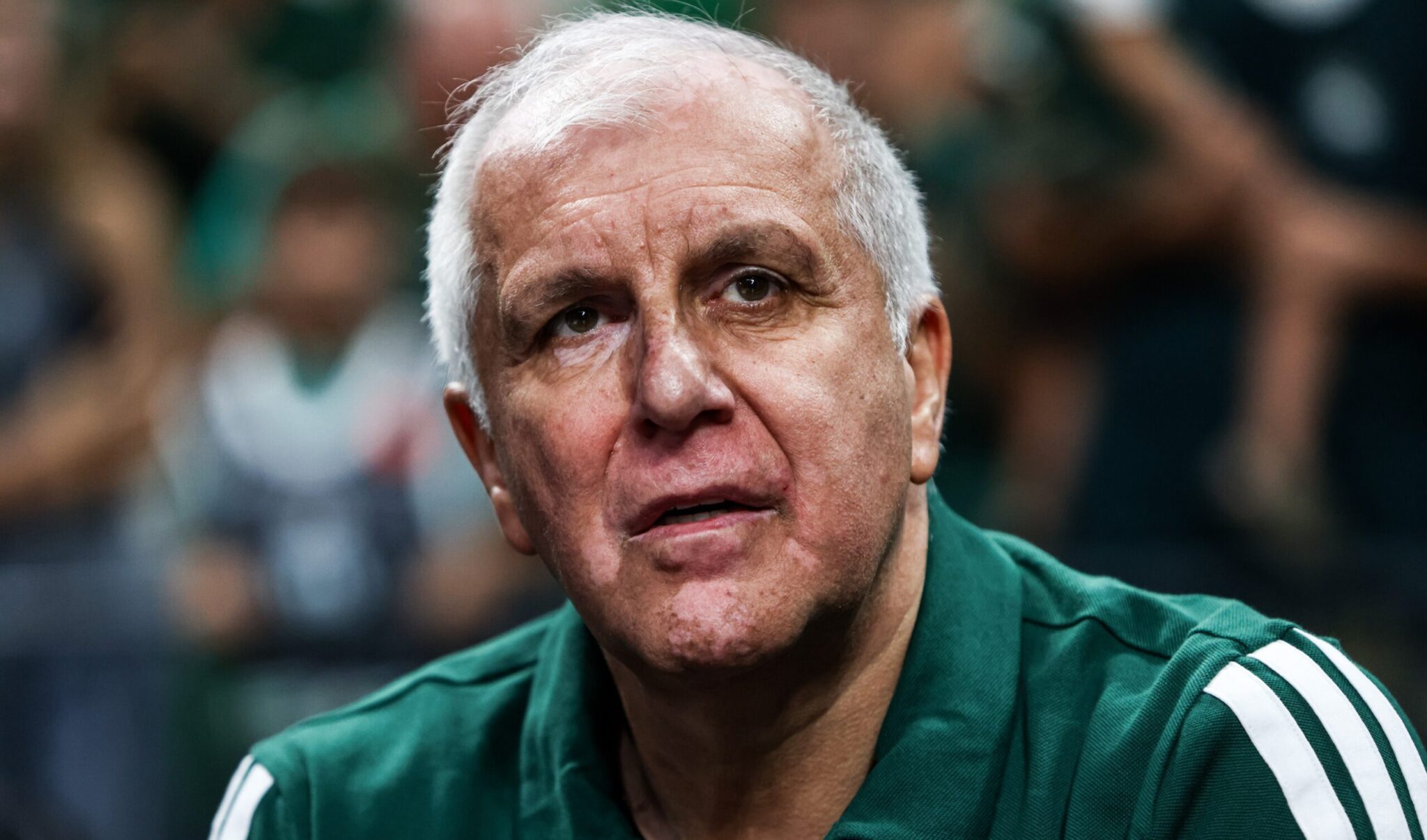 Obradović: “Rogavopoulos and Moraitis are available; let’s fight like we did in the game against PAOK.”