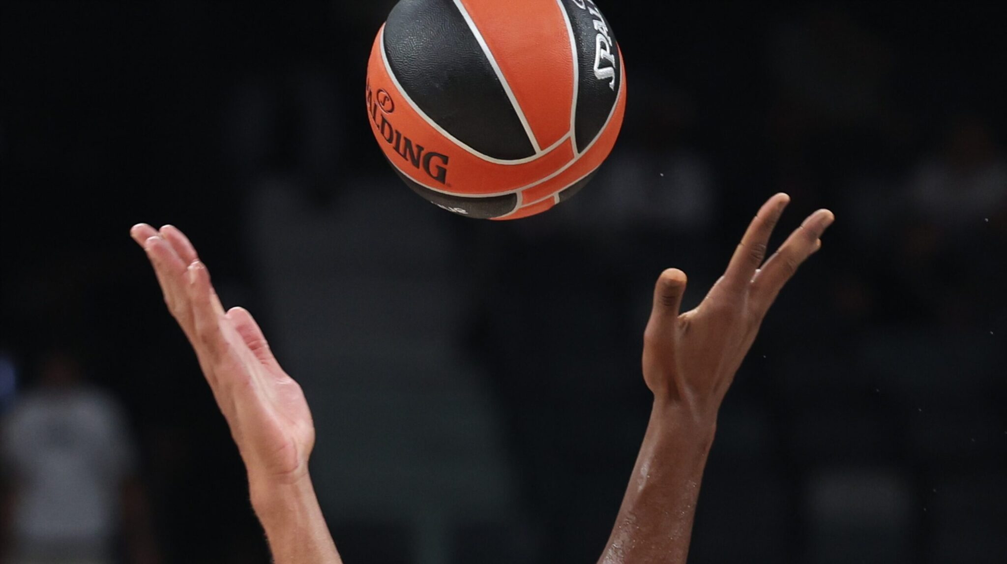 Euroleague: Season opener in the top competition with five games and plenty of excitement