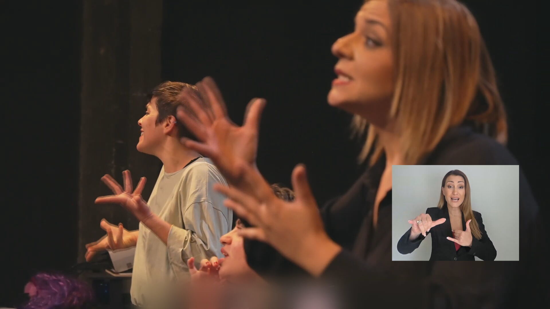 “Finally, I understand for the first time”: Sign language in the arts—which… is still considered a luxury