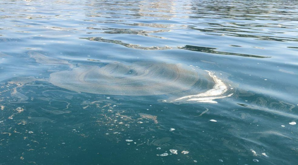 Marine Pollution in Limassol: AKEL Demands Explanations in a Letter Regarding Serious Allegations