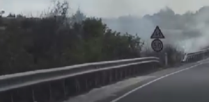 Alert in Paphos: Fire near Arodes; aerial support requested (VIDEO)