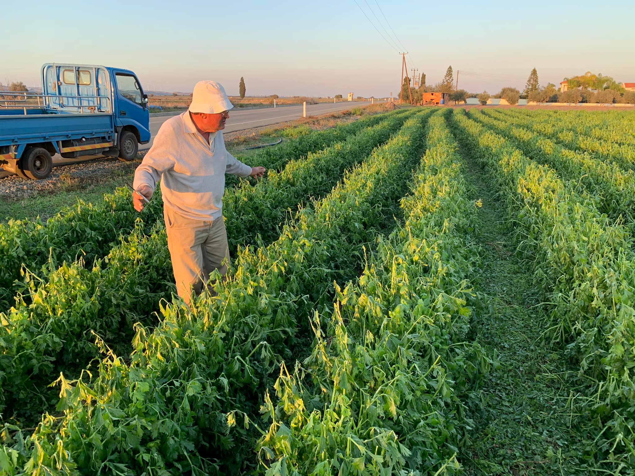 Ministerial Decision: €1.5 million in financial support for farmers, including aid for irrigation