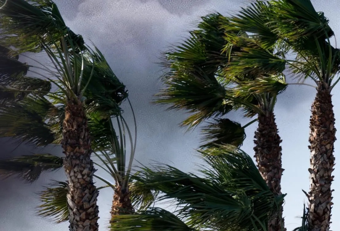 Rain, thunderstorms, strong winds, and a drop in temperature: What the weather has in store for us through Thursday