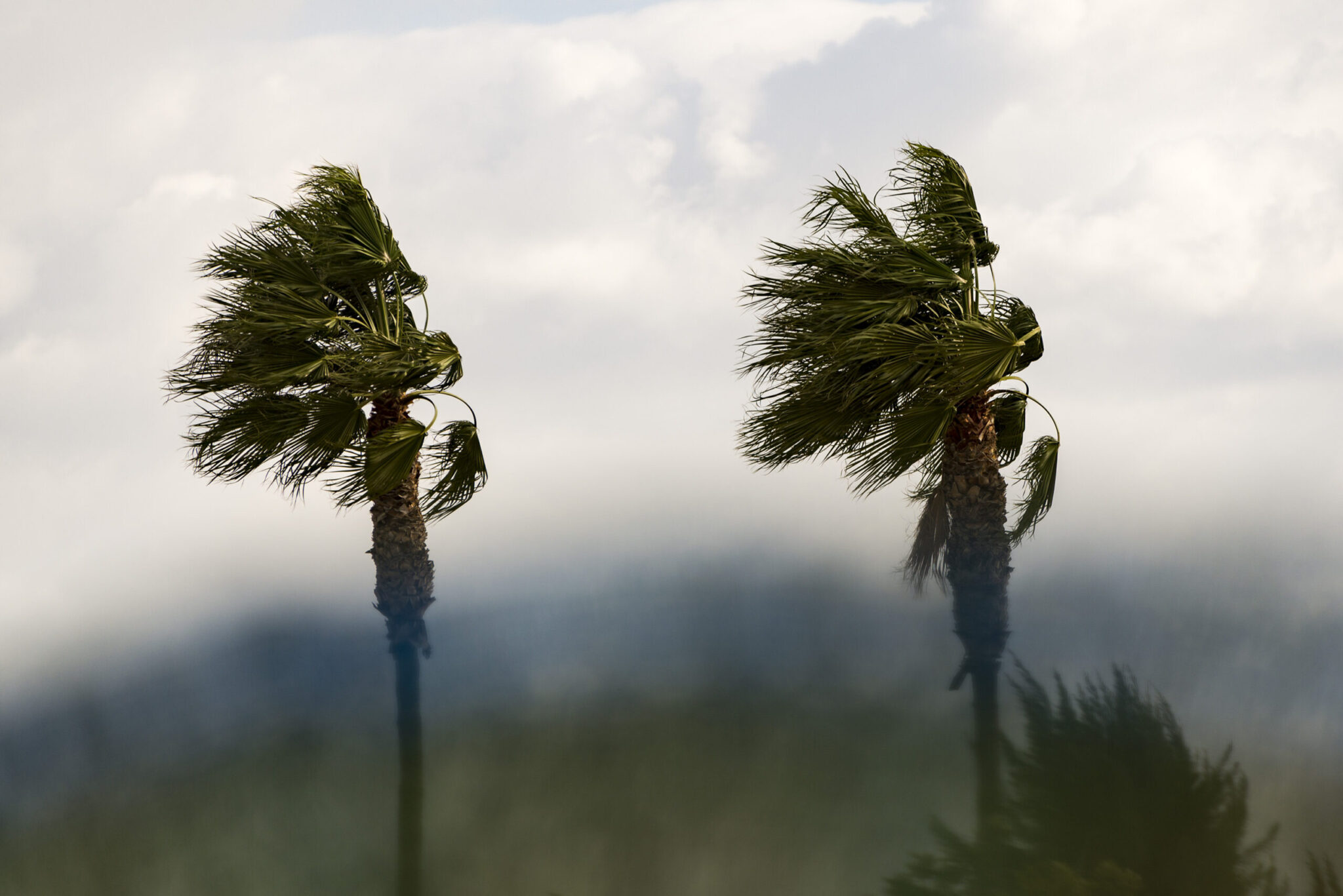The weather is changing: Rain, thunderstorms, and very strong winds are on the way