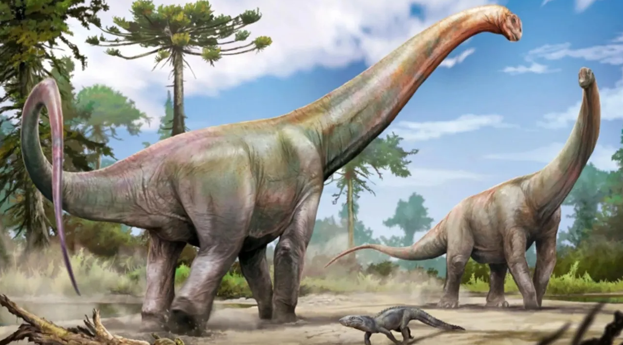 A new giant dinosaur has been discovered beneath a construction site in Brazil