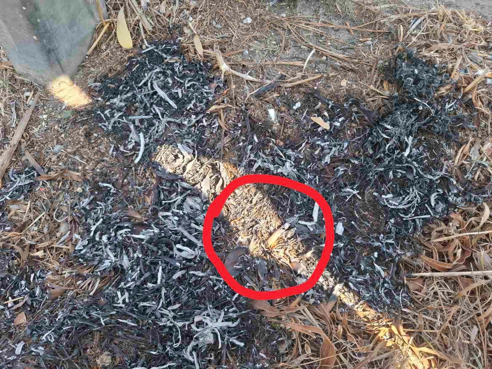 PHOTO: Fire on the highway in Lybia; a cigarette butt was found at the scene