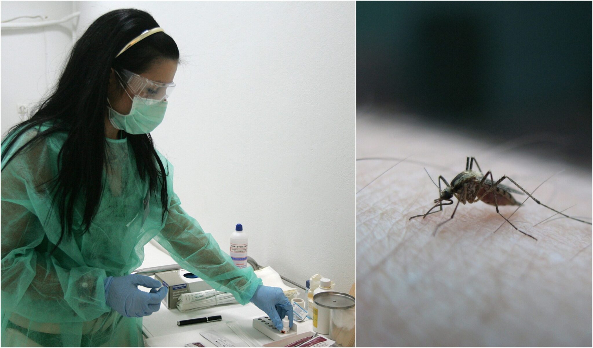 Three people hospitalized in the occupied territories with West Nile virus