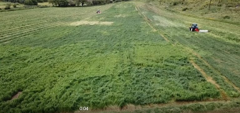 4.14 million euros in financial support for perennial clover growers