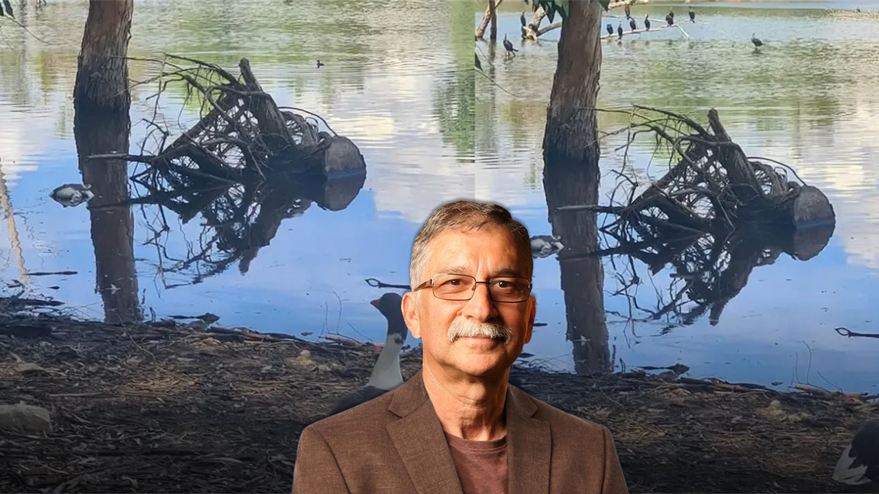 Dr. Karagiannis Responds: How Concerned Should We Be About Bird Flu in Cyprus?