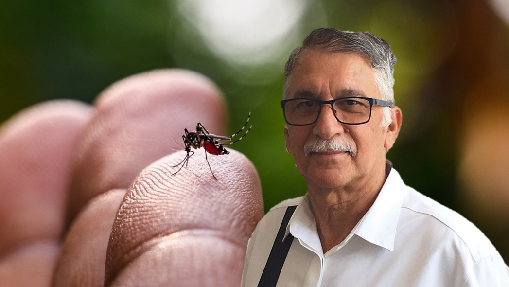 Dr. Karagiannis explains: How the climate crisis is bringing us more frequent and more intense mosquito outbreaks