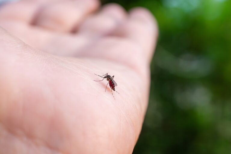 West Nile Virus: The First Victim, Confirmed Cases, and Those Under Investigation