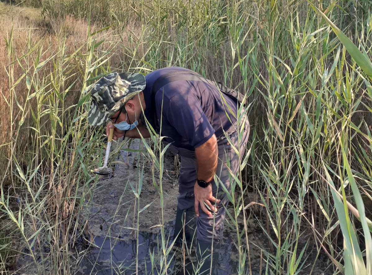 Mosquito Outbreak: The Municipality of Nicosia Is Focusing Its Intensive Efforts on These Areas