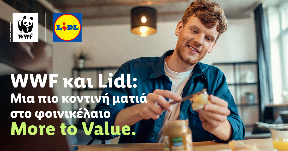 Lidl and WWF achieve significant milestones in the sustainable sourcing of palm oil