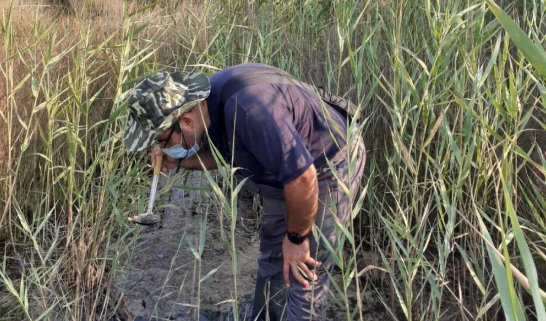 Strovolos Also on “Red Alert” Due to Mosquito Surge: Where Have Outbreaks Been Identified?