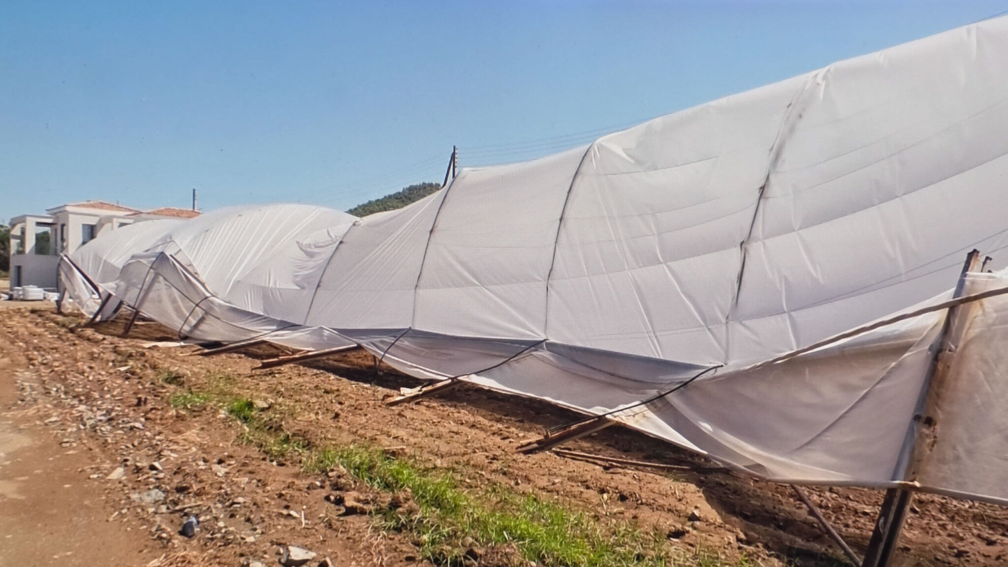 Department of Agriculture: 45 damage reports were recorded in the Paphos district