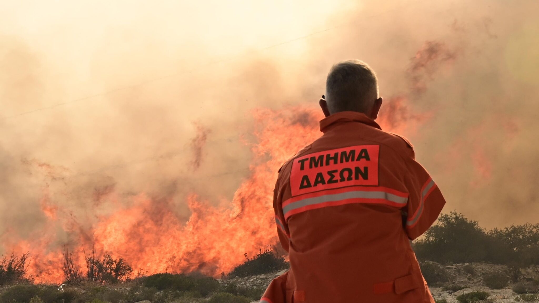 Fire breaks out first thing in the morning near the campground in Polis Chrysochous