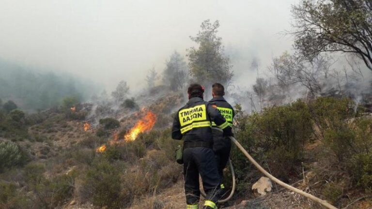 They Averted the Worst: Forest Fire in the Mitsero Community Area Is Fully Under Control