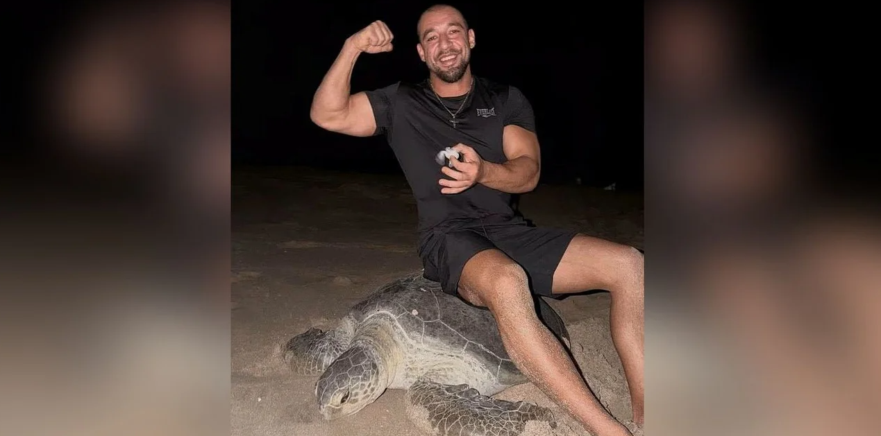 VIDEO: Outrage over influencers who sat on a sea turtle while she was laying her eggs
